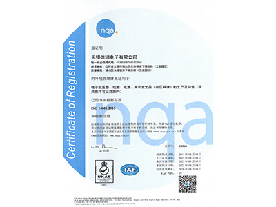 ISO 14001（變壓器 離(li)子）